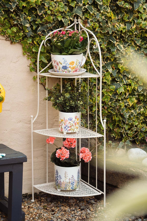 Carraig Donn Floral Teacup Planter