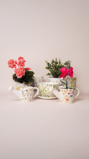 Carraig Donn Floral Watering Can Planter