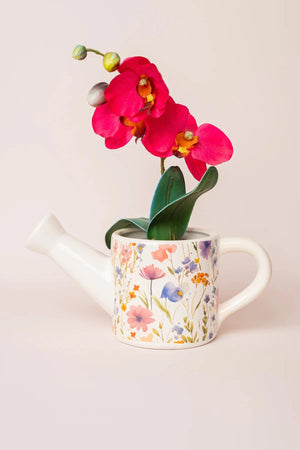 Carraig Donn Flower Watering Can Pot