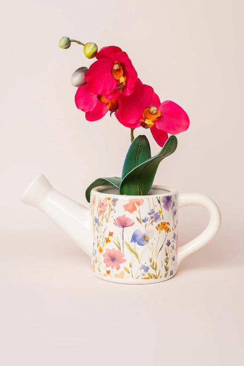 Carraig Donn Flower Watering Can Pot
