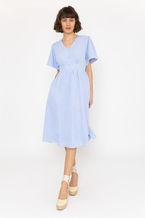 Francine Dress in Blue