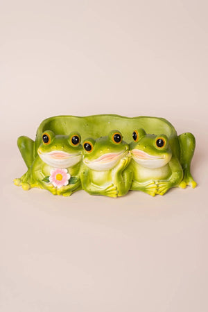 Carraig Donn Frog Plant Pot Holder
