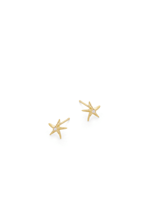 Gold Mini Star Fish Stud Earrings
