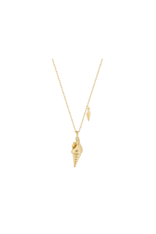 Gold Sea Shell Pendant Necklace