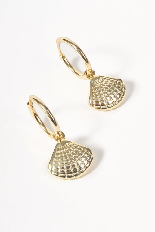 Carraig Donn Gold Shell Hoop Earrings