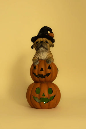 Carraig Donn Halloween Dog and Pumpkin Stack Decoration