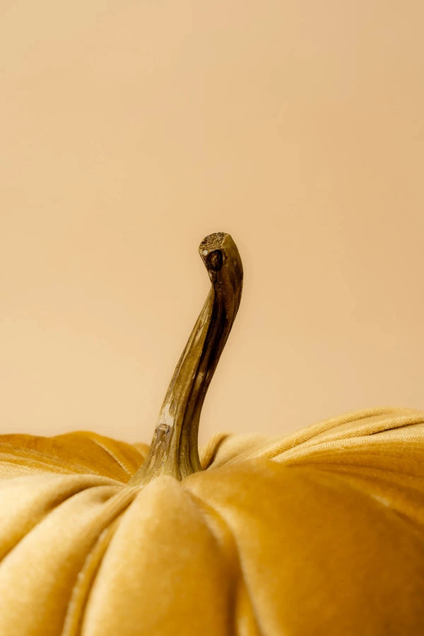 Carraig Donn Halloween Pumpkin Cushion in Gold Velvet