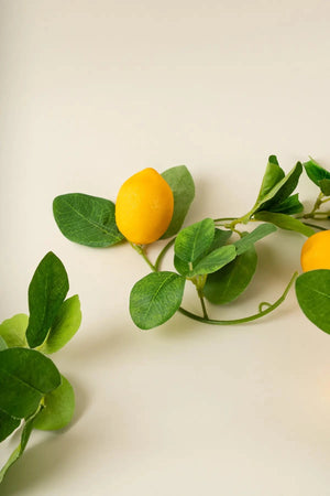 Carraig Donn Lemon Garland