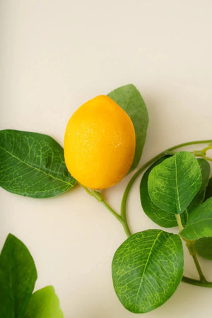 Carraig Donn Lemon Garland
