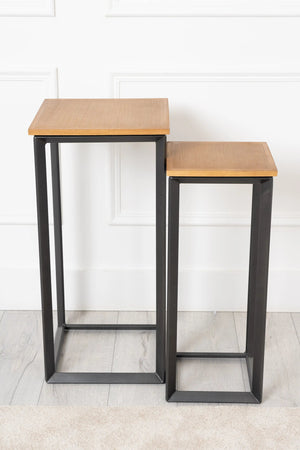 Carraig Donn Metal & Wood Set of 2 Plant Stands