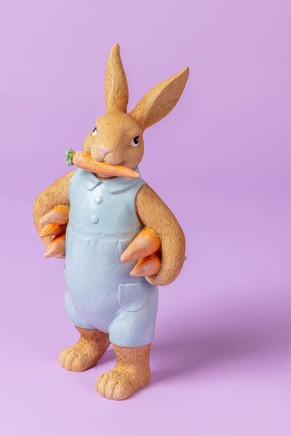 Mr Bunny Medium Ornament Easter Decoration Carraig Donn