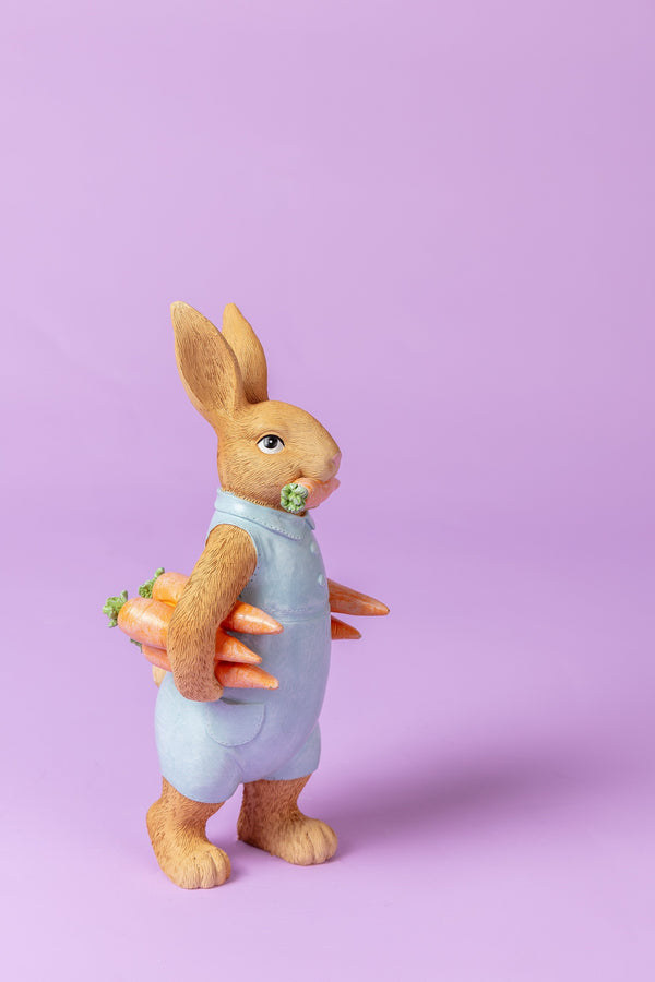 Mr Bunny Medium Ornament Easter Decoration Carraig Donn