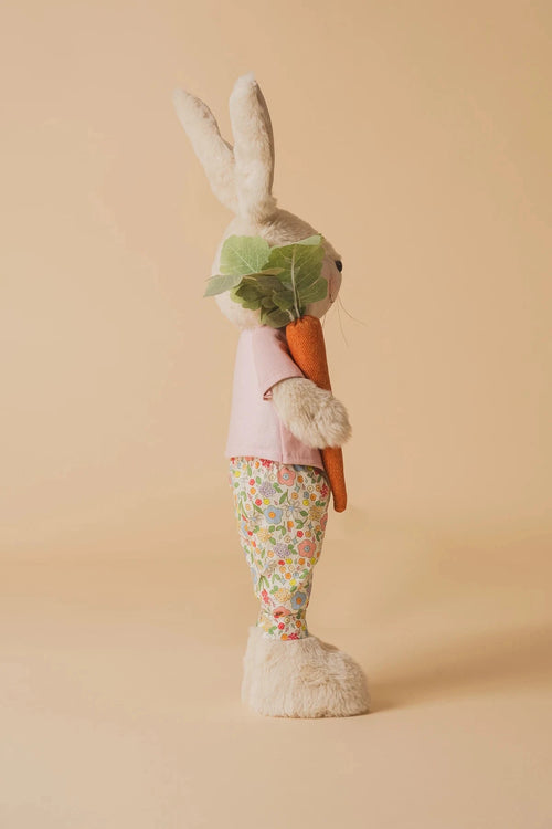 Carraig Donn Mr Bunny Standing