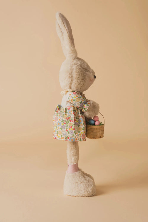 Carraig Donn Ms Bunny Standing