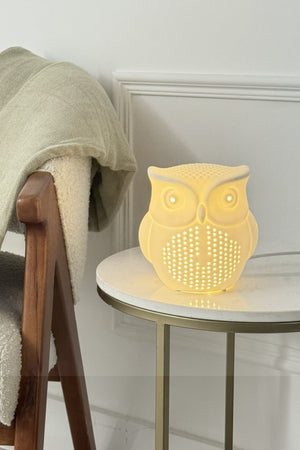 Carraig Donn Owl Shaped Glow Lamp