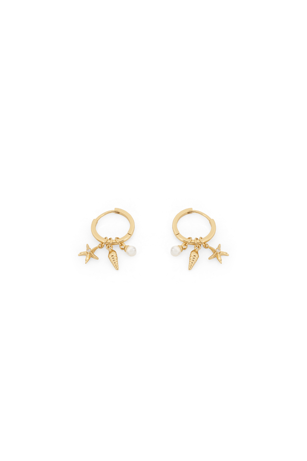 Carraig Donn Pearl Shell & Starfish Hoop Earrings