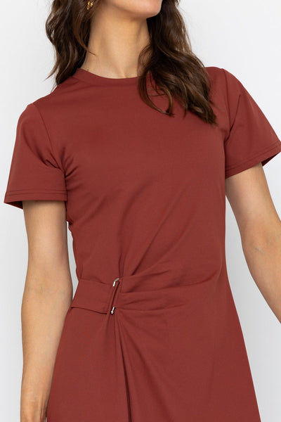 rust t shirt dress Hyde Park T-Shirt Dress In Dark Rust Curves