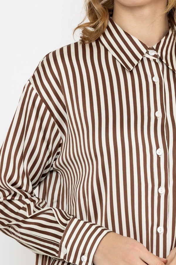Carraig Donn Satin Stripe Shirt in Brown