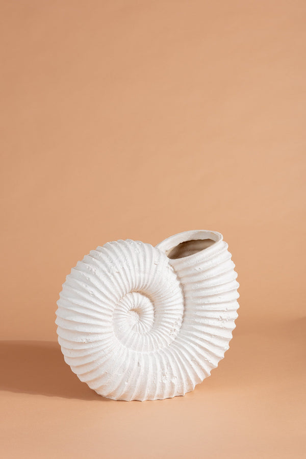 Carraig Donn Seashell Vase