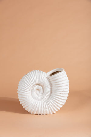 Seashell Vase