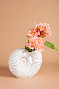 Carraig Donn Seashell Vase