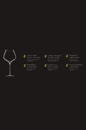 Carraig Donn Set of 4 Cellar Collection Burgundy Wine Glasses