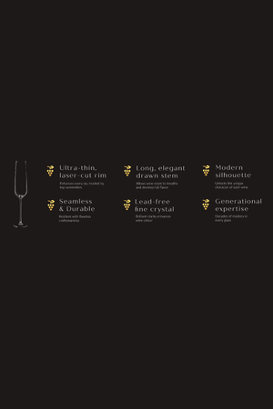 Carraig Donn Set of 4 Cellar Collection Champagne Flute