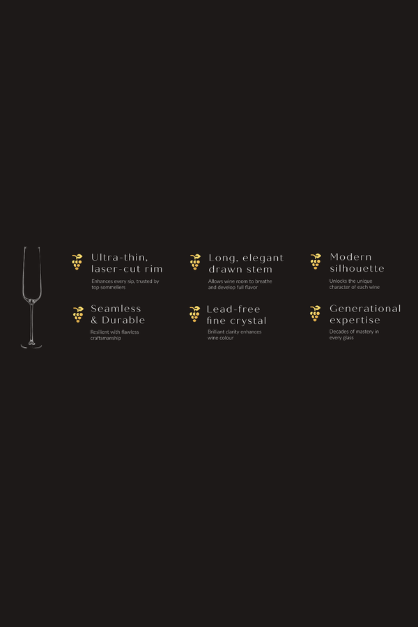 Carraig Donn Set of 4 Cellar Collection Champagne Flute