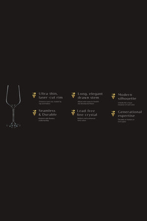 Carraig Donn Set of 4 Cellar Collection Red Wine Glasses