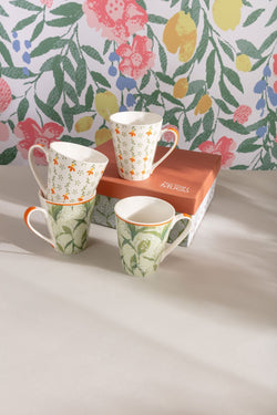 Carraig Donn Set Of 4 Country Chic Mugs