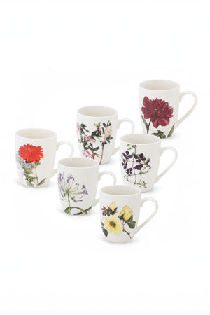 Carraig Donn Set of 6 Botanical Mugs