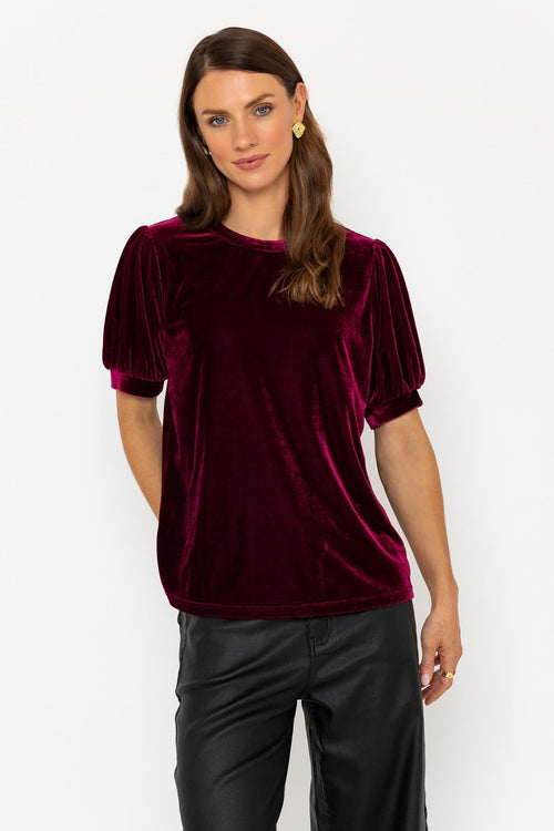 Short Sleeve Burgundy Velvet Top