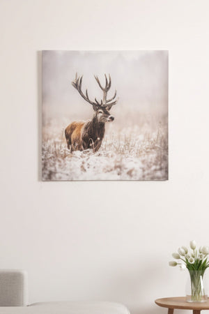Carraig Donn Stag Canvas Wall Art
