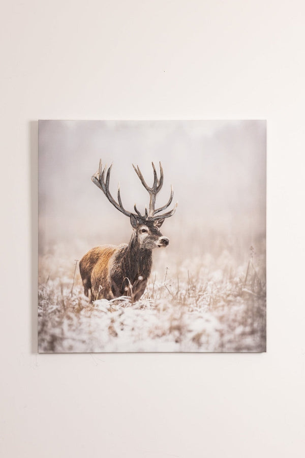 Carraig Donn Stag Canvas Wall Art