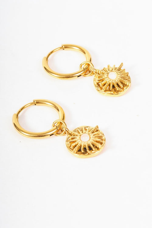 Stone Inset Earrings