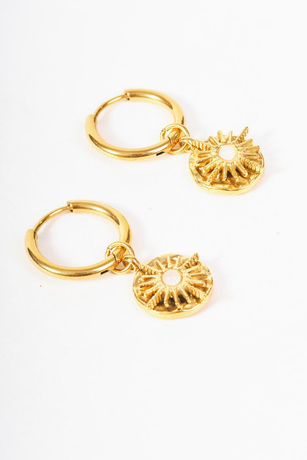 Carraig Donn Stone Inset Earrings