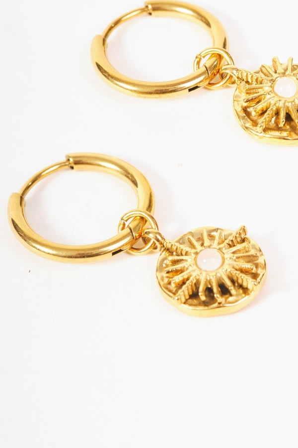 Carraig Donn Stone Inset Earrings