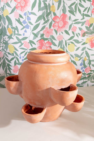 Terracotta Ceramic Herb Planter