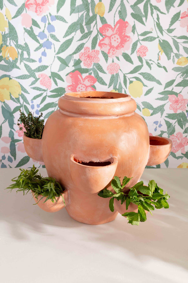 Carraig Donn Terracotta Ceramic Herb Planter