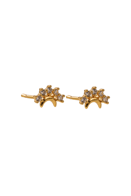 The Pink Box Tiny Moon & Stars Earrings