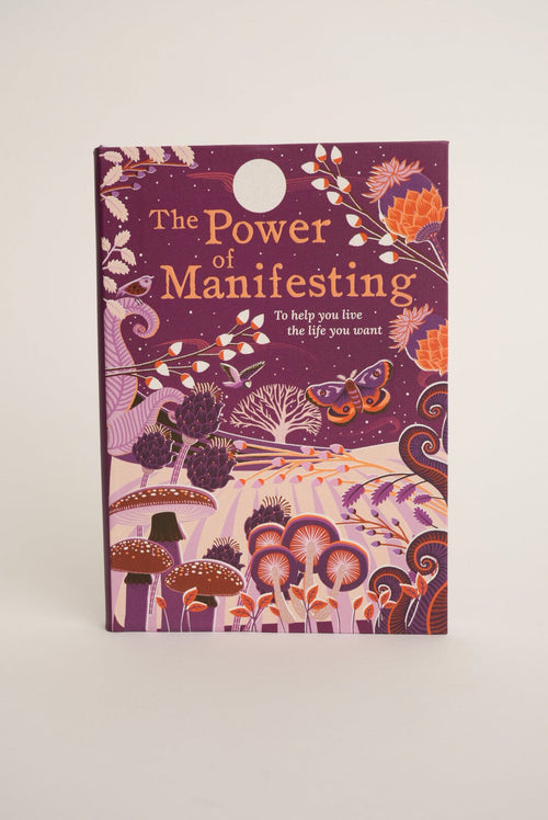 The Power Of Manifesting