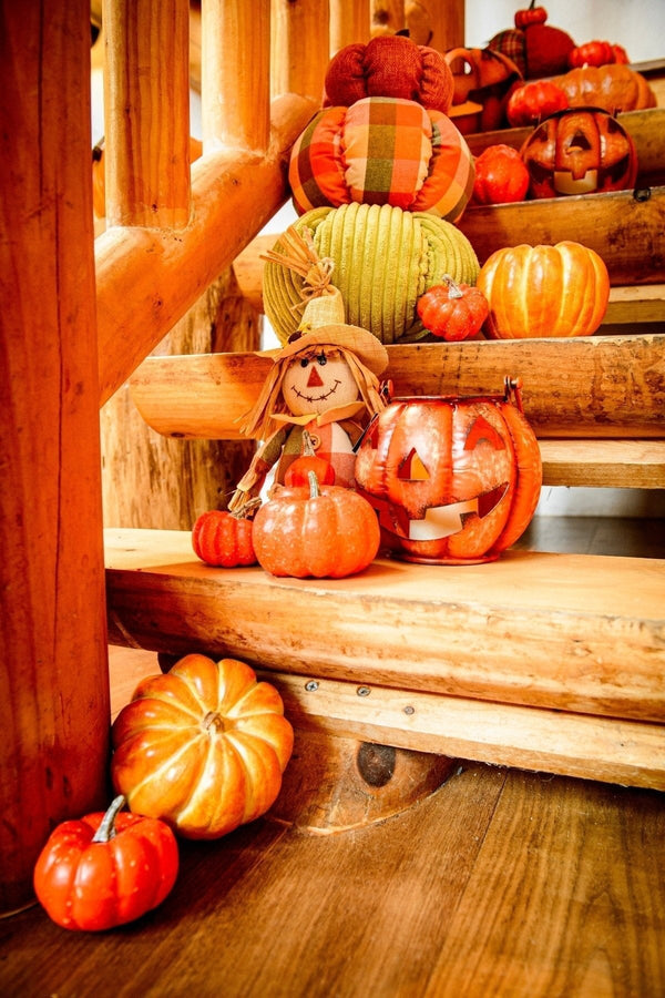 Carraig Donn Trio Pumpkin Cord Stack