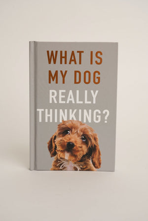 Carraig Donn What Is My Dog Really Thinking?