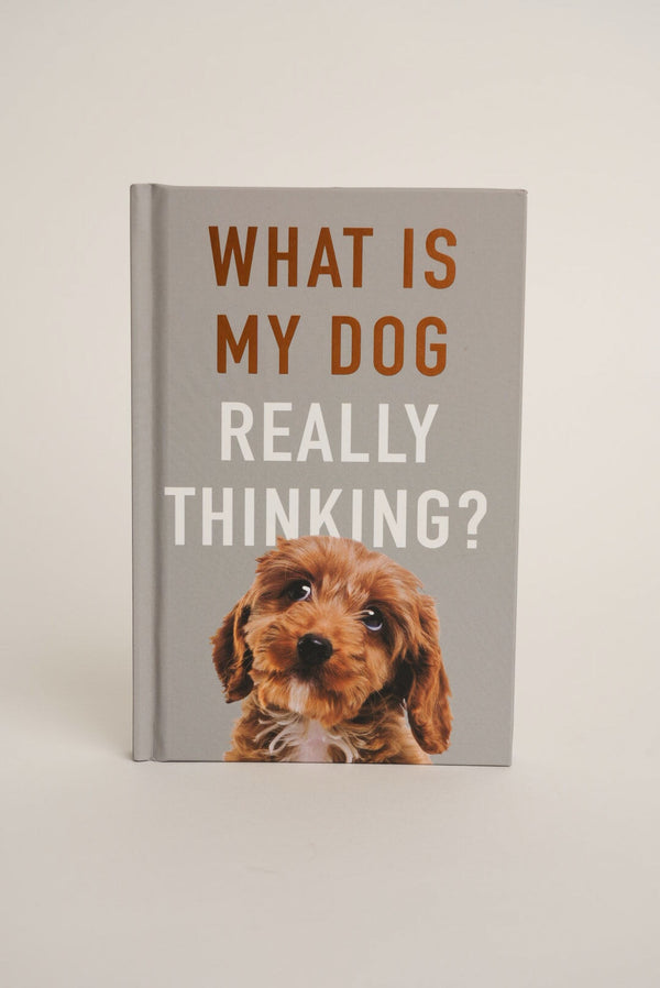 Carraig Donn What Is My Dog Really Thinking?