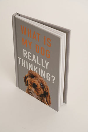 Carraig Donn What Is My Dog Really Thinking?