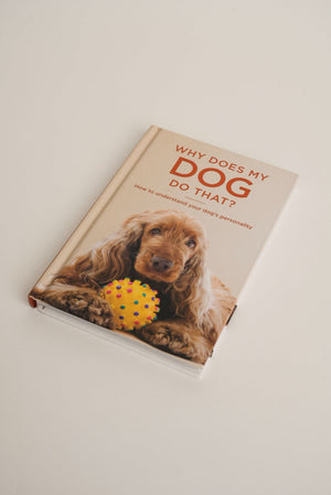 Carraig Donn Why Does My Dog Do That?