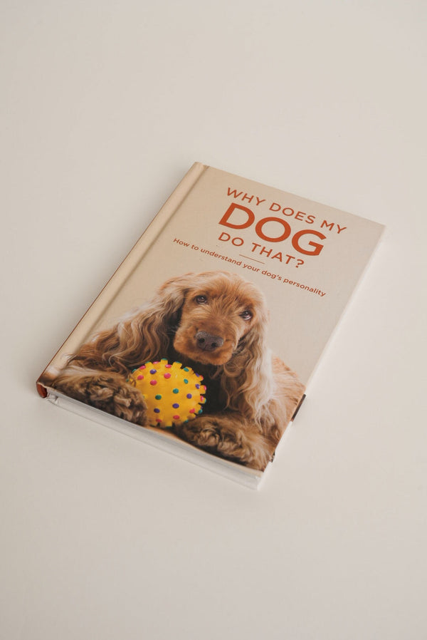 Carraig Donn Why Does My Dog Do That?