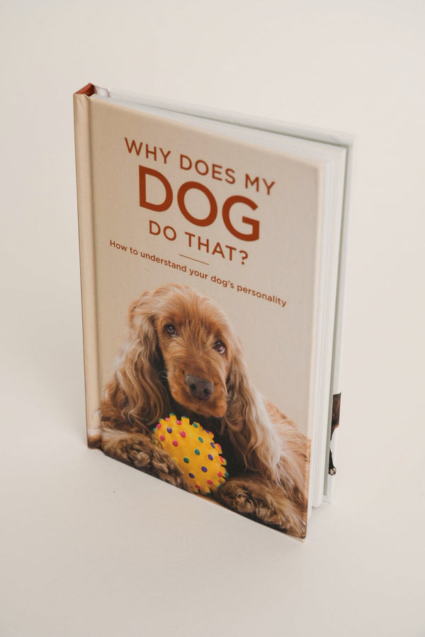 Carraig Donn Why Does My Dog Do That?