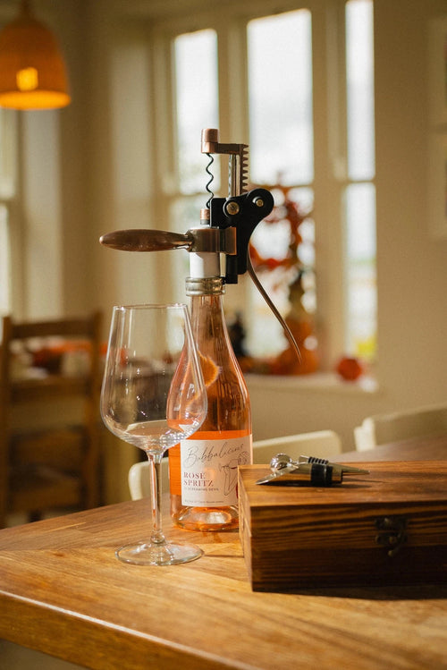 Wine Opener Gift Set