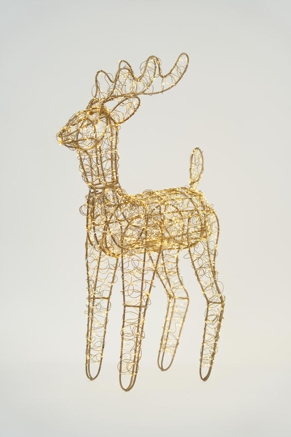 Carraig Donn Christmas Reindeer 60cm With 1000 LED Lights